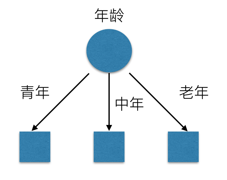 年龄