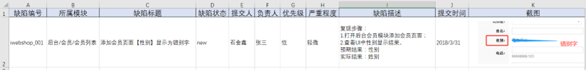 缺陷报告